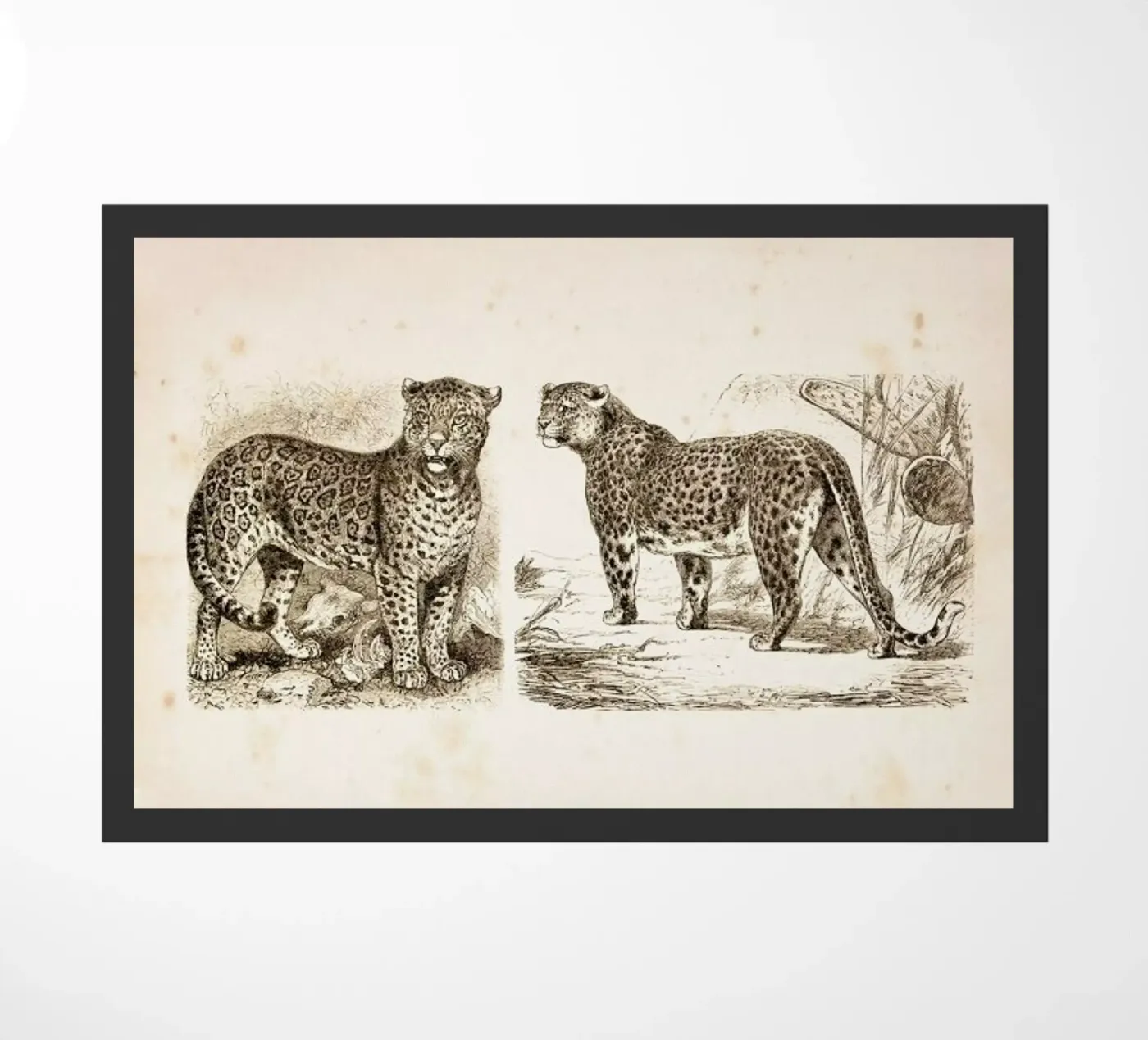 Jaguars Fußmatte von Flora & Fauna