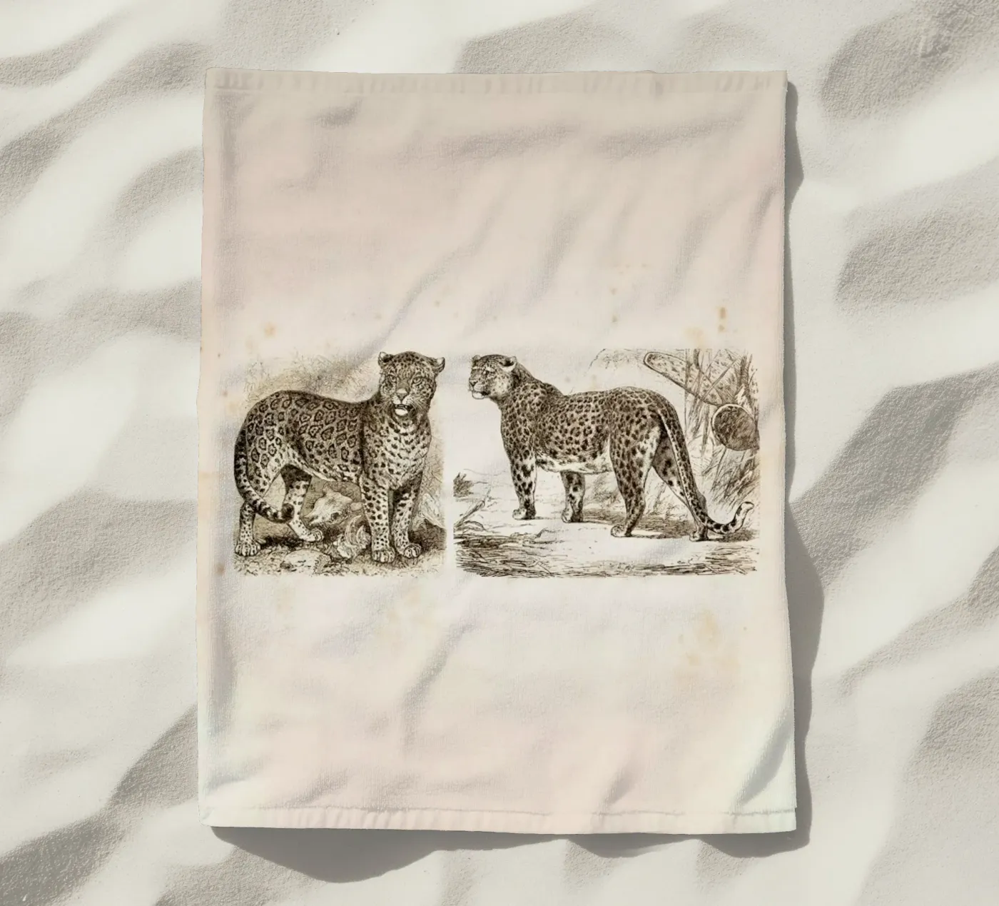 Jaguars beach towel by Flora & Fauna
