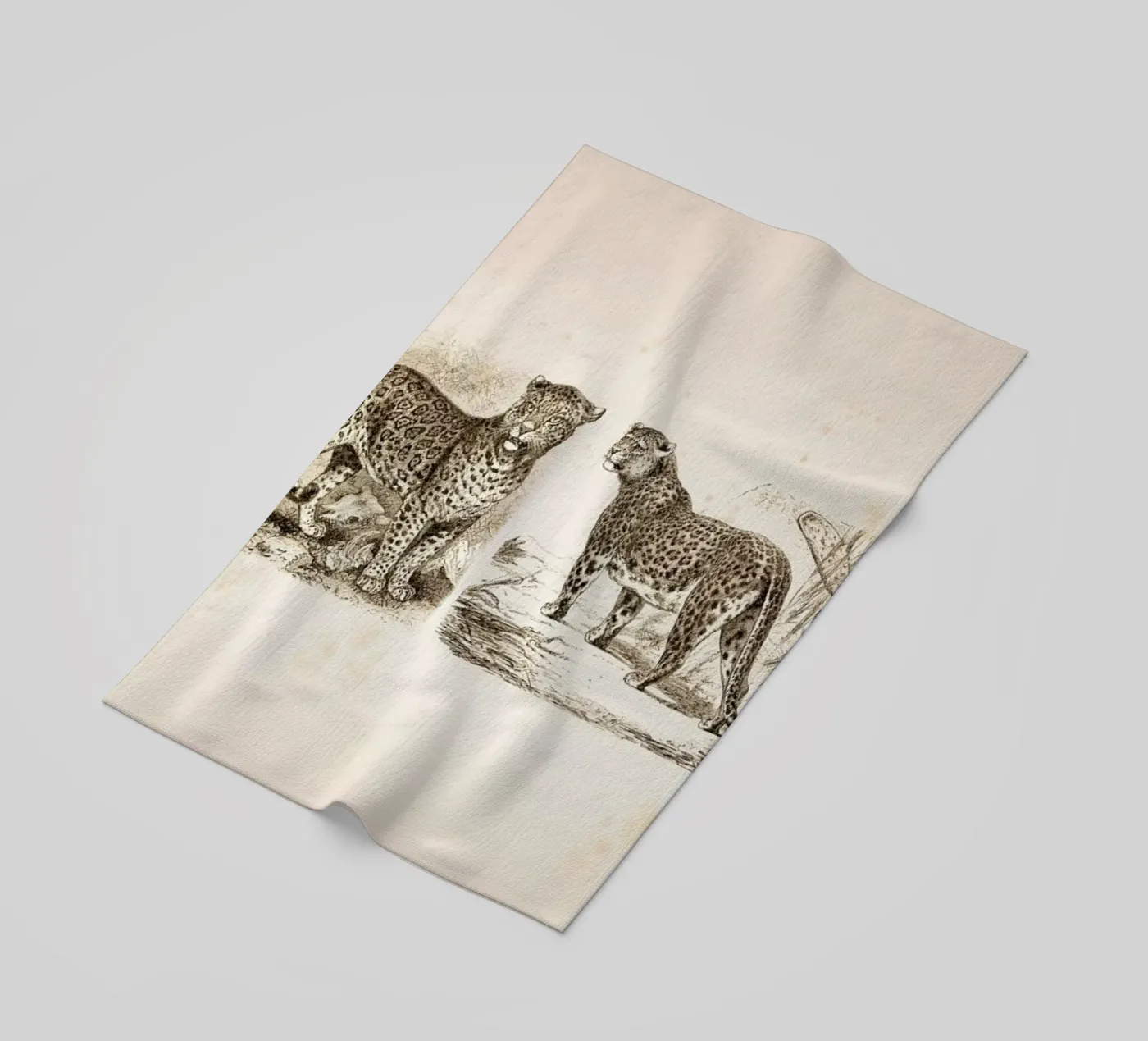 Jaguars beach towel by Flora & Fauna