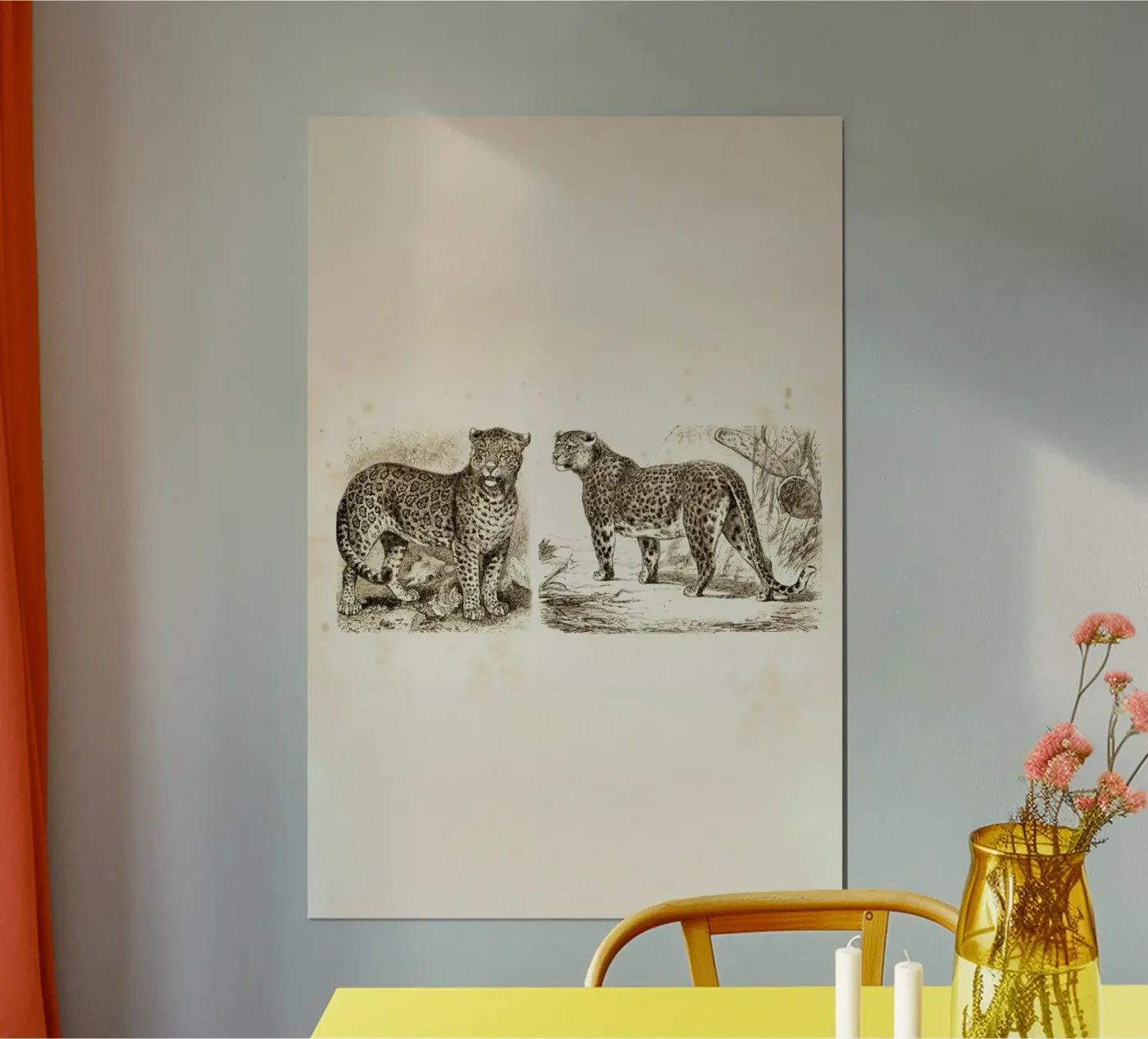 Jaguars poster by Flora & Fauna