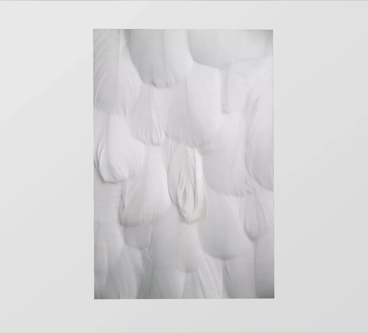 Soft White Feathers telo in pvc da Studio Nahili