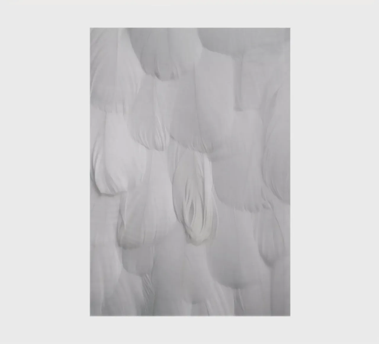 Soft White Feathers notebook by Studio Nahili