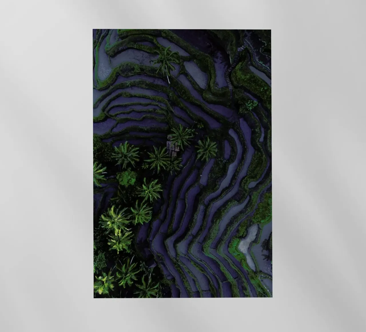 Tropical Risefields From Above pellicola backlit da Studio Nahili