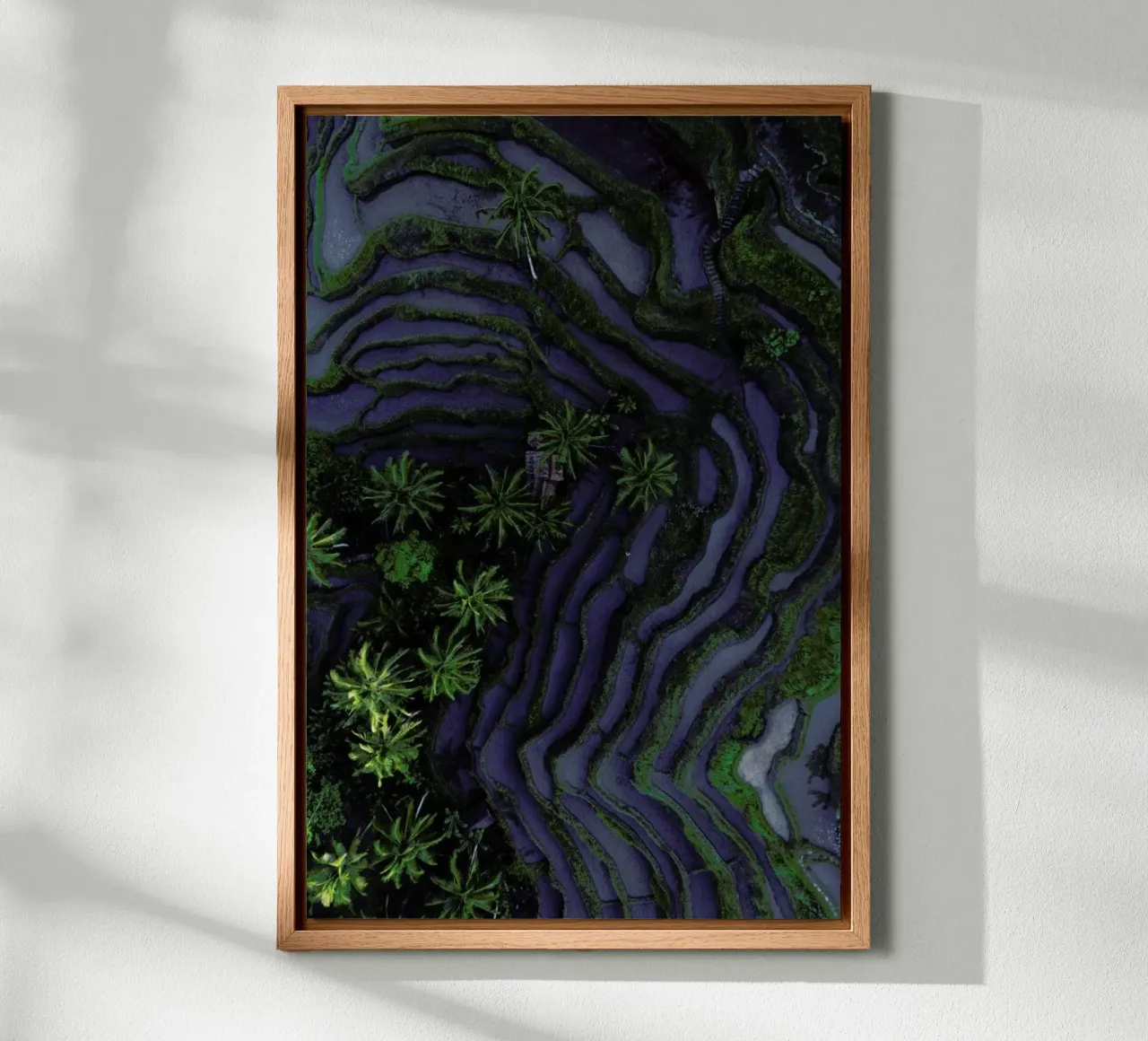 Tropical Risefields From Above tela con Cornice a cassetta da Studio Nahili
