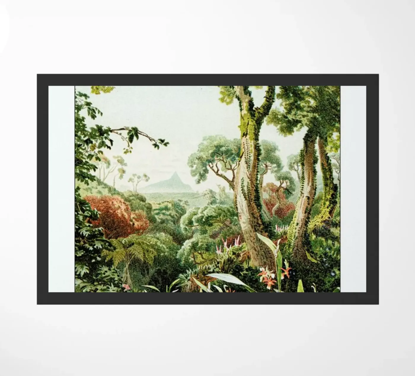 Botanical Forest zerbino da Flora & Fauna