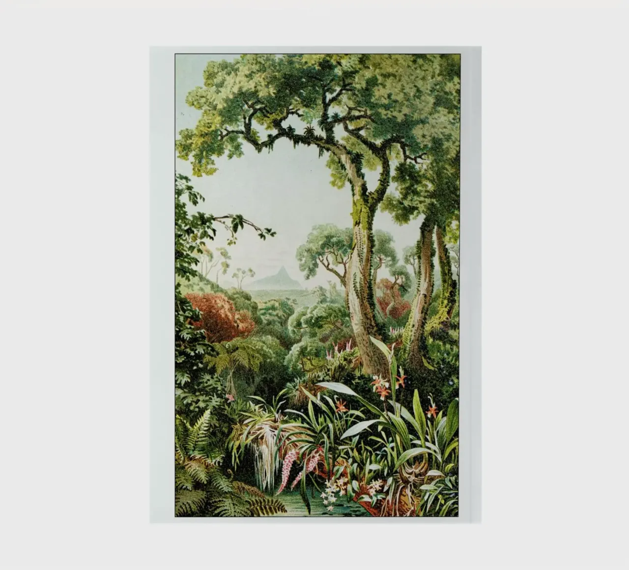 Botanical Forest notebook by Flora & Fauna