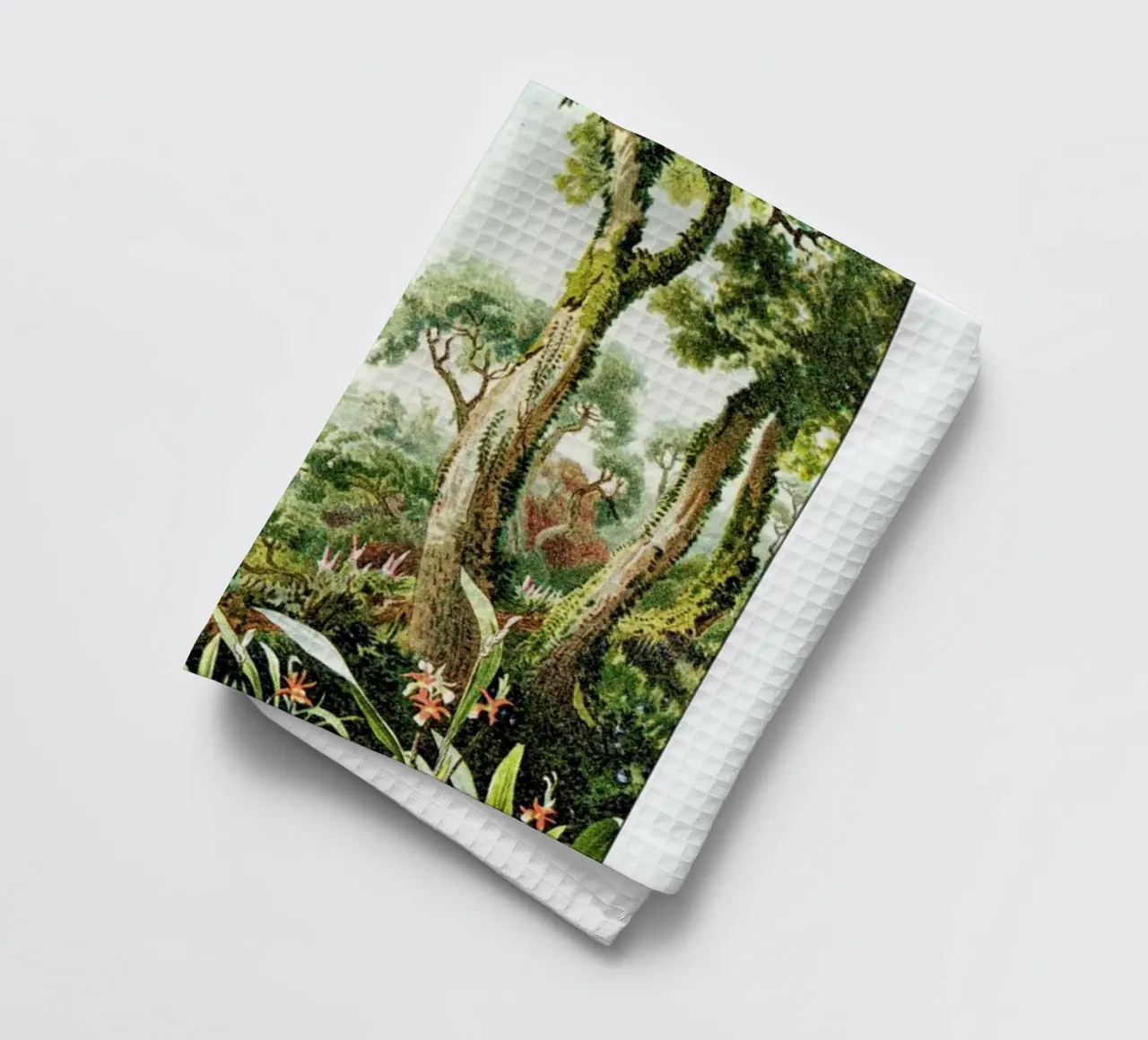 Botanical Forest canovaccio da cucina da Flora & Fauna