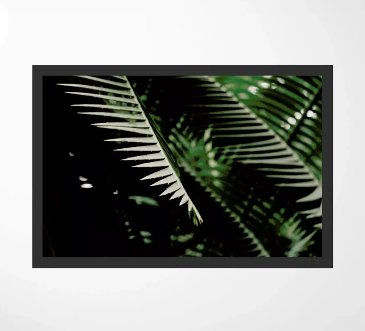 Greenery zerbino da Flora & Fauna