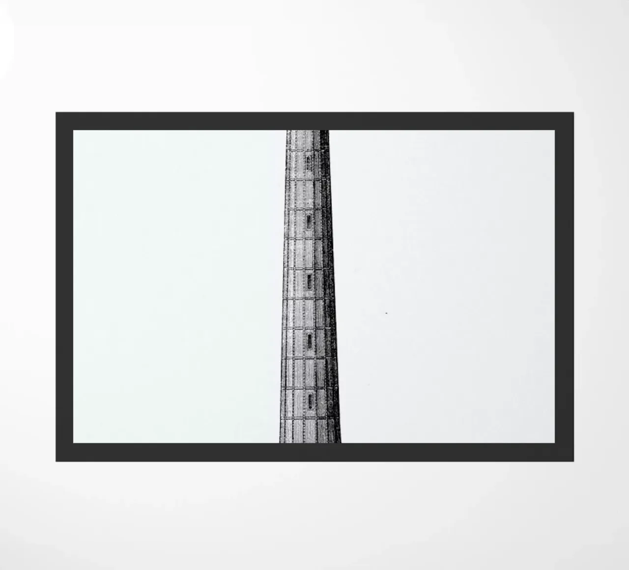 Lighthouse zerbino da Flora & Fauna