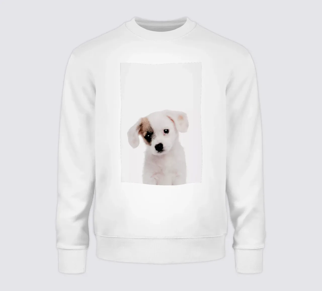 Puppy felpa da Paws & Claws