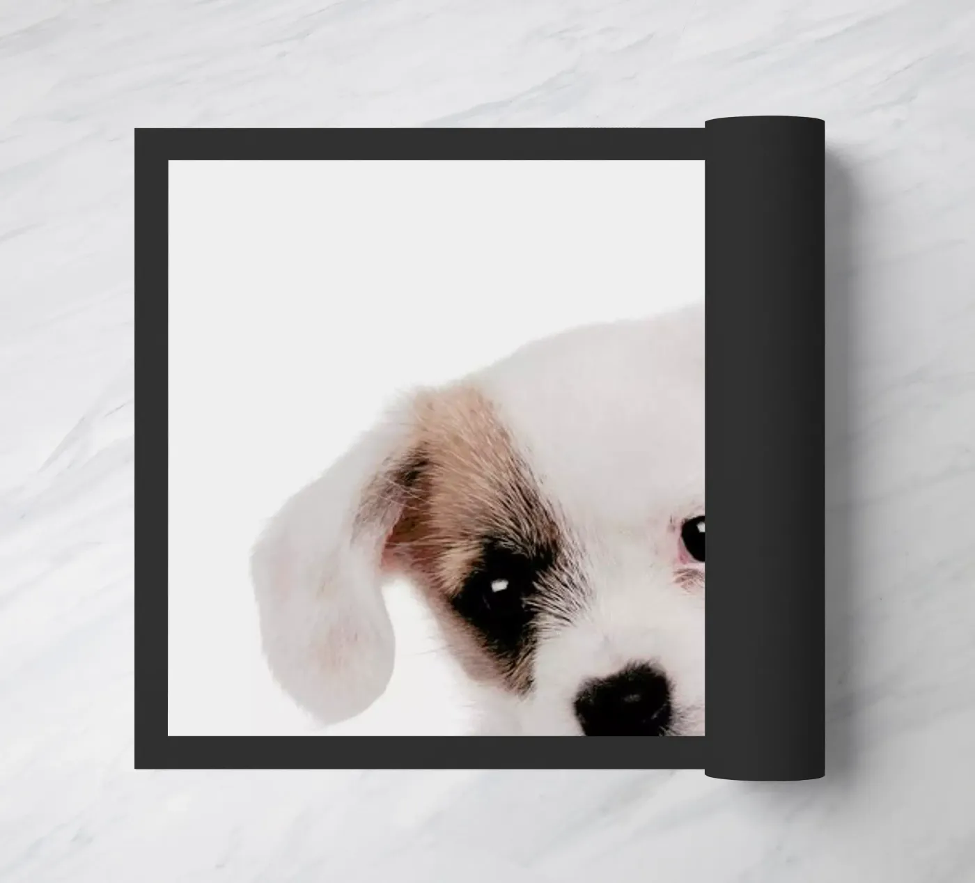 Puppy zerbino da Paws & Claws