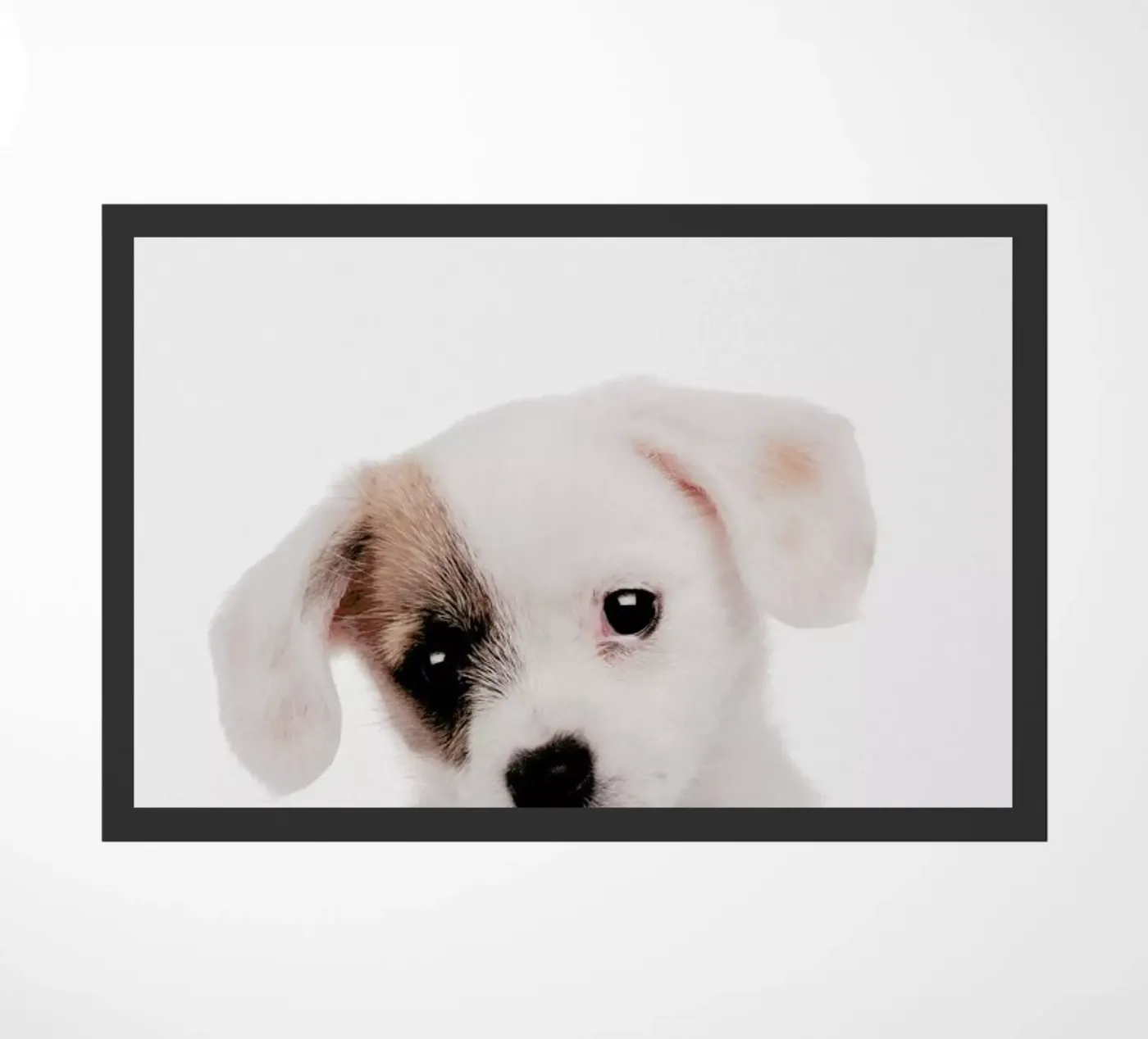 Puppy zerbino da Paws & Claws