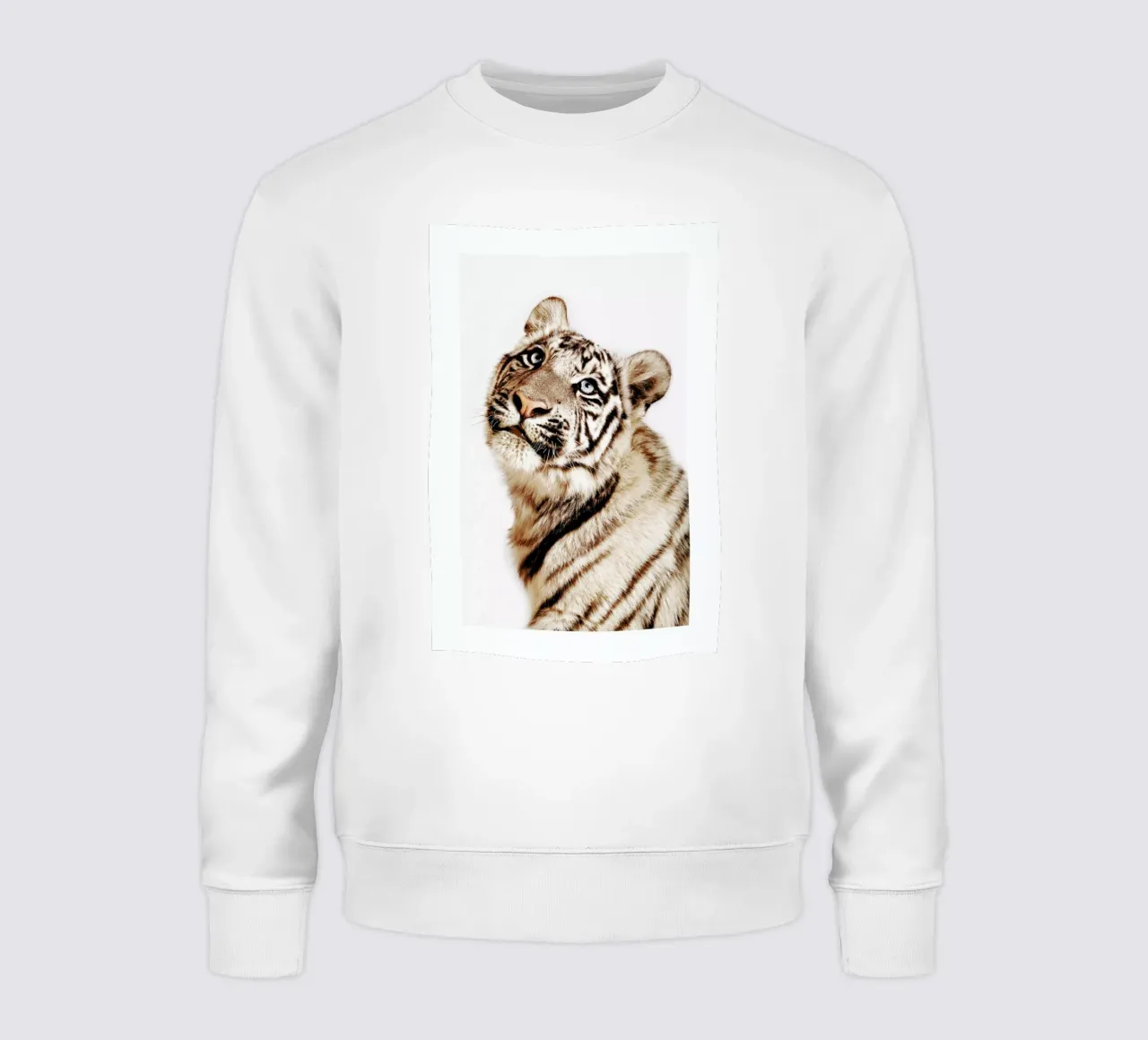 King in the Making sweatshirt by Natural Kingdom