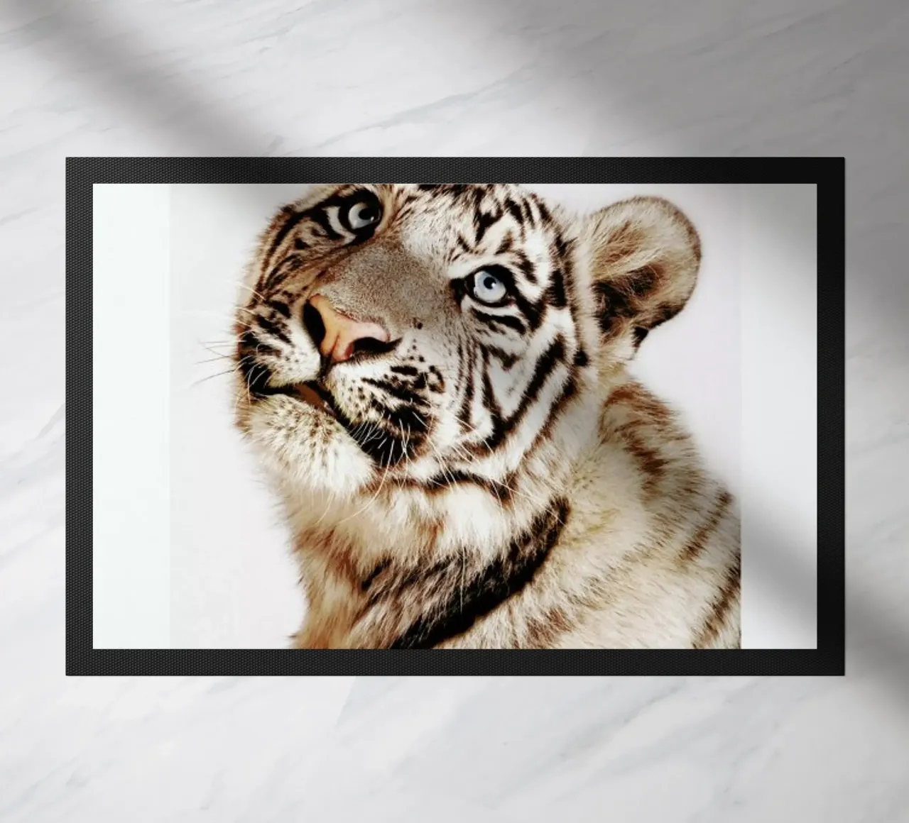 King in the Making zerbino da Natural Kingdom