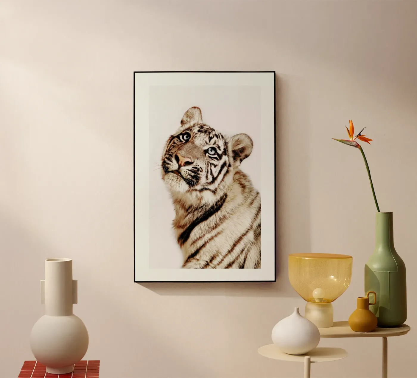 King in the Making plexiglass da Natural Kingdom