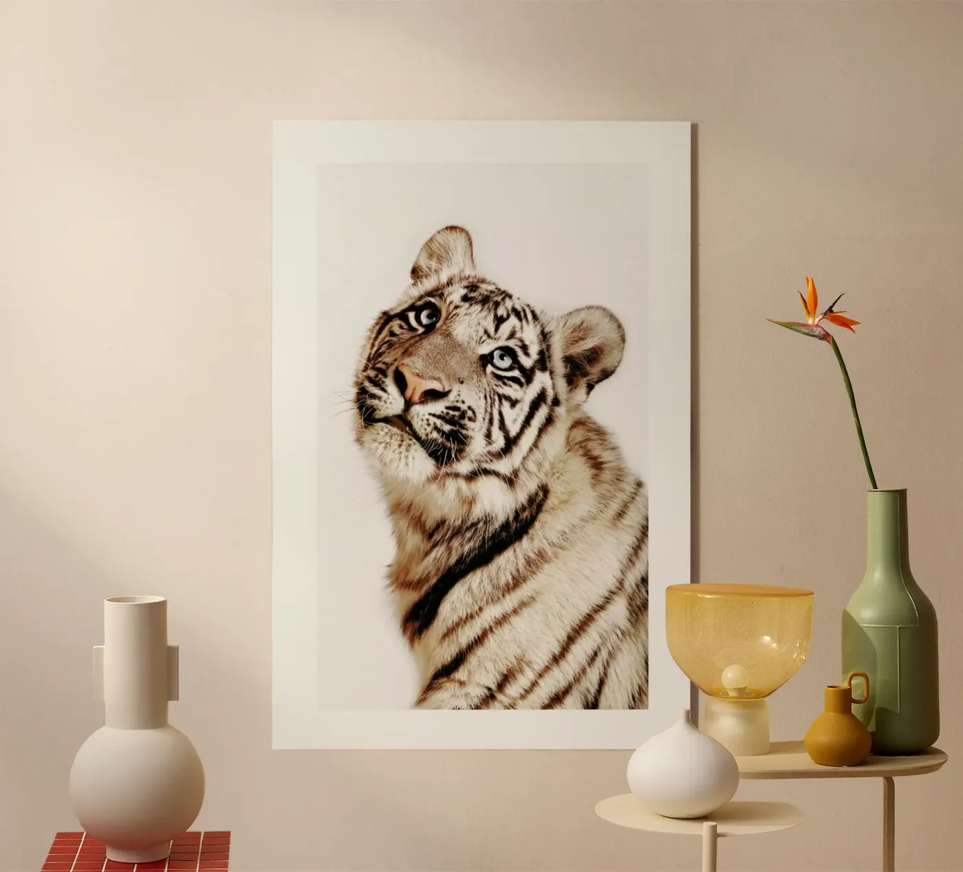 King in the Making plexiglass da Natural Kingdom