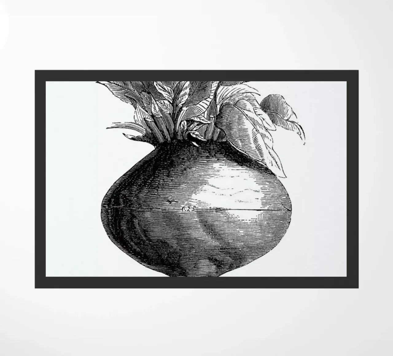 Beetroot II deurmat van Flora & Fauna