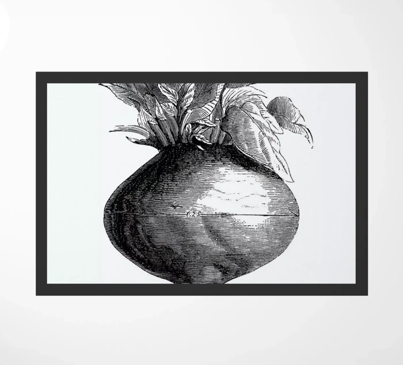 Beetroot II doormat by Flora & Fauna