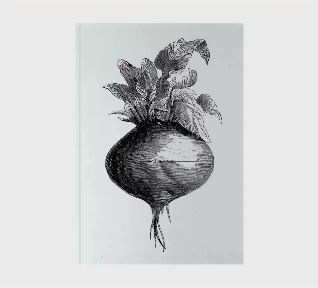 Beetroot II notebook by Flora & Fauna
