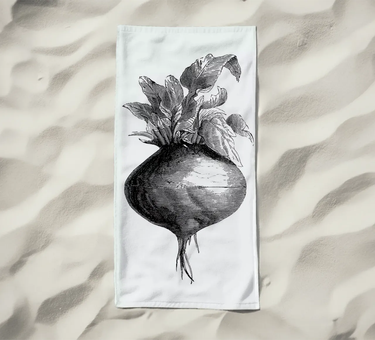 Beetroot II telo mare da Flora & Fauna