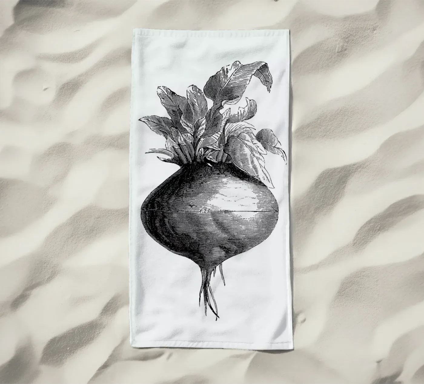 Beetroot II telo mare da Flora & Fauna