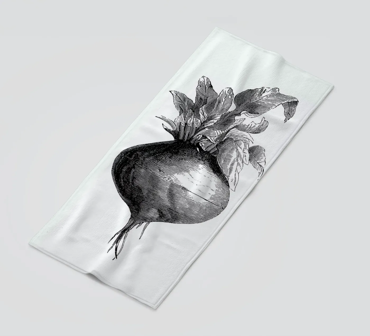 Beetroot II telo mare da Flora & Fauna