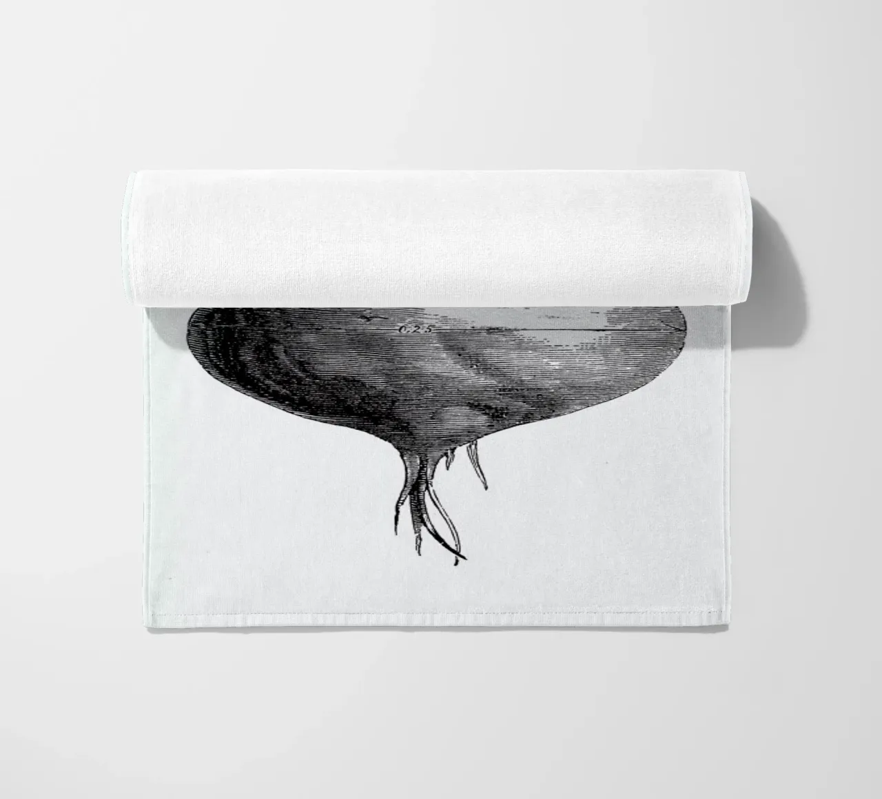 Beetroot II telo mare da Flora & Fauna