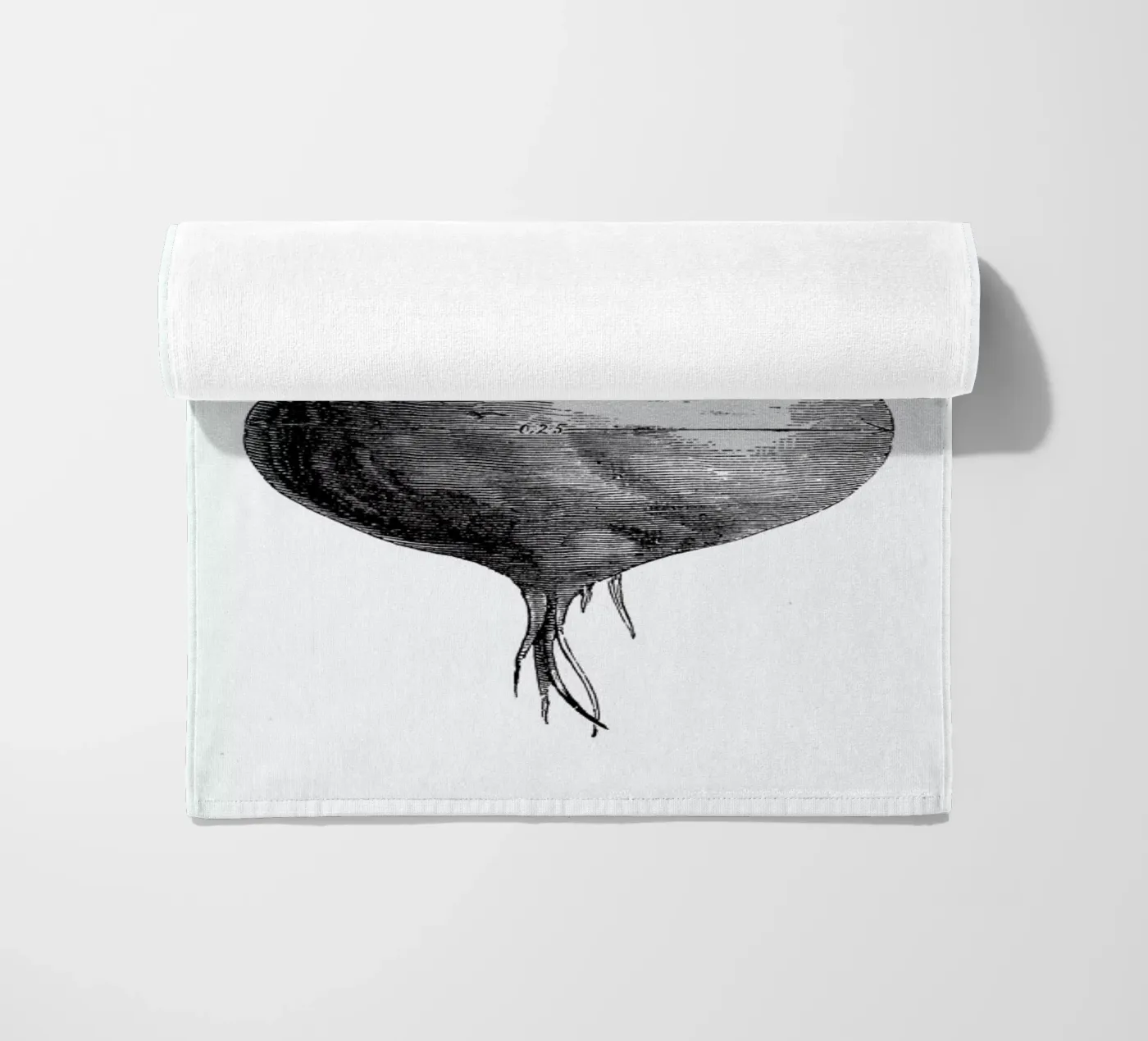 Beetroot II telo mare da Flora & Fauna