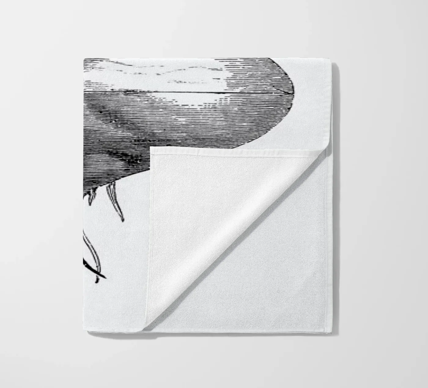 Beetroot II telo mare da Flora & Fauna