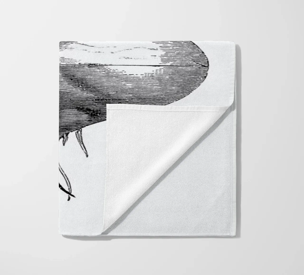 Beetroot II telo mare da Flora & Fauna