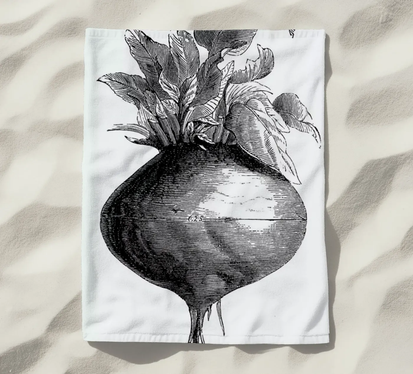 Beetroot II telo mare da Flora & Fauna