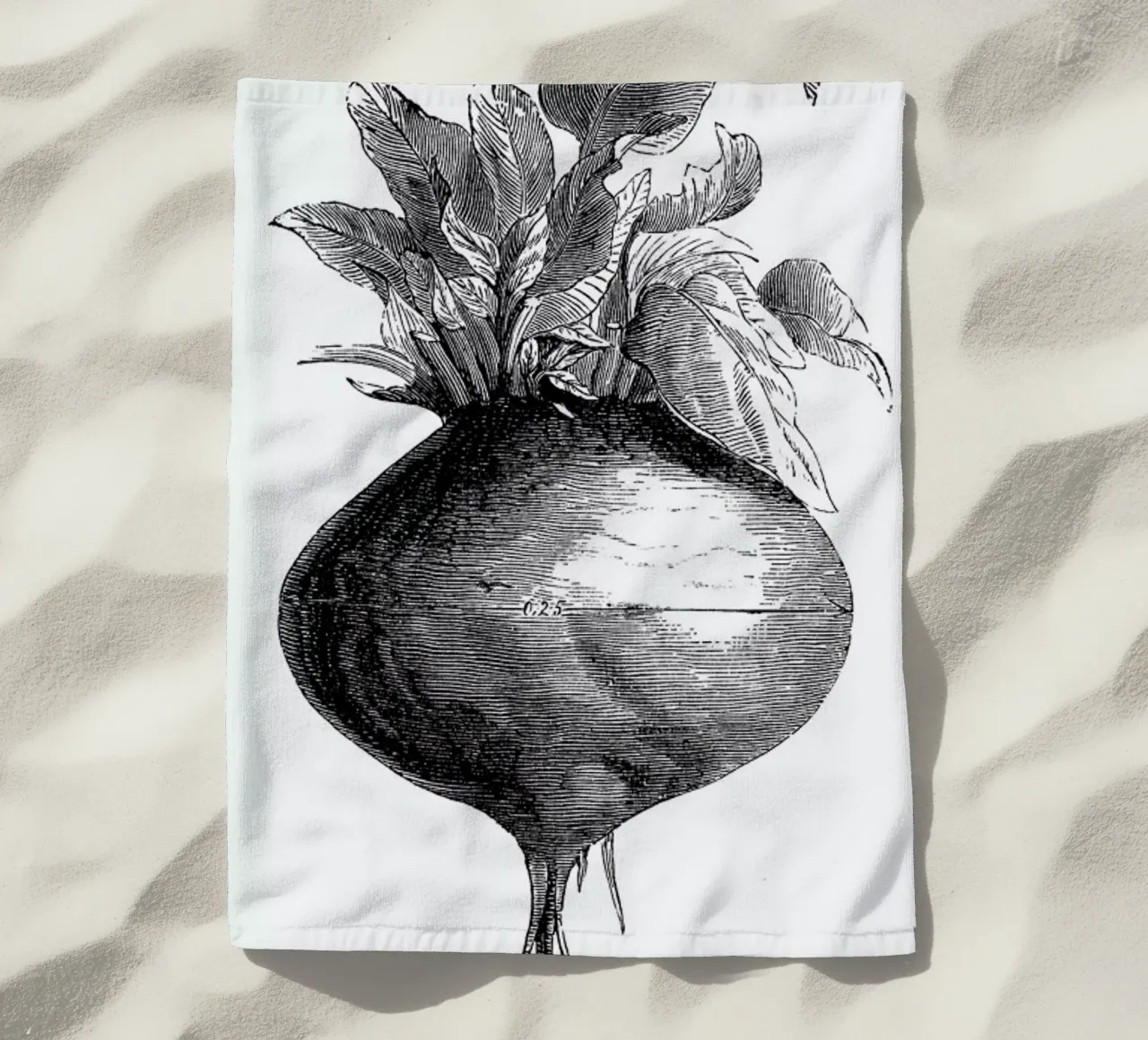 Beetroot II telo mare da Flora & Fauna