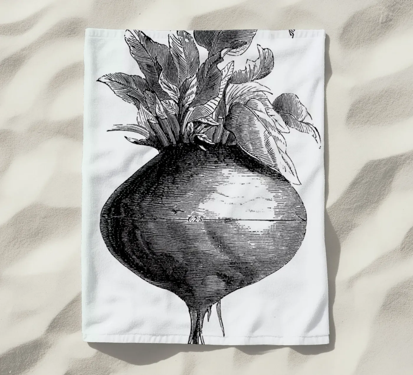 Beetroot II telo mare da Flora & Fauna