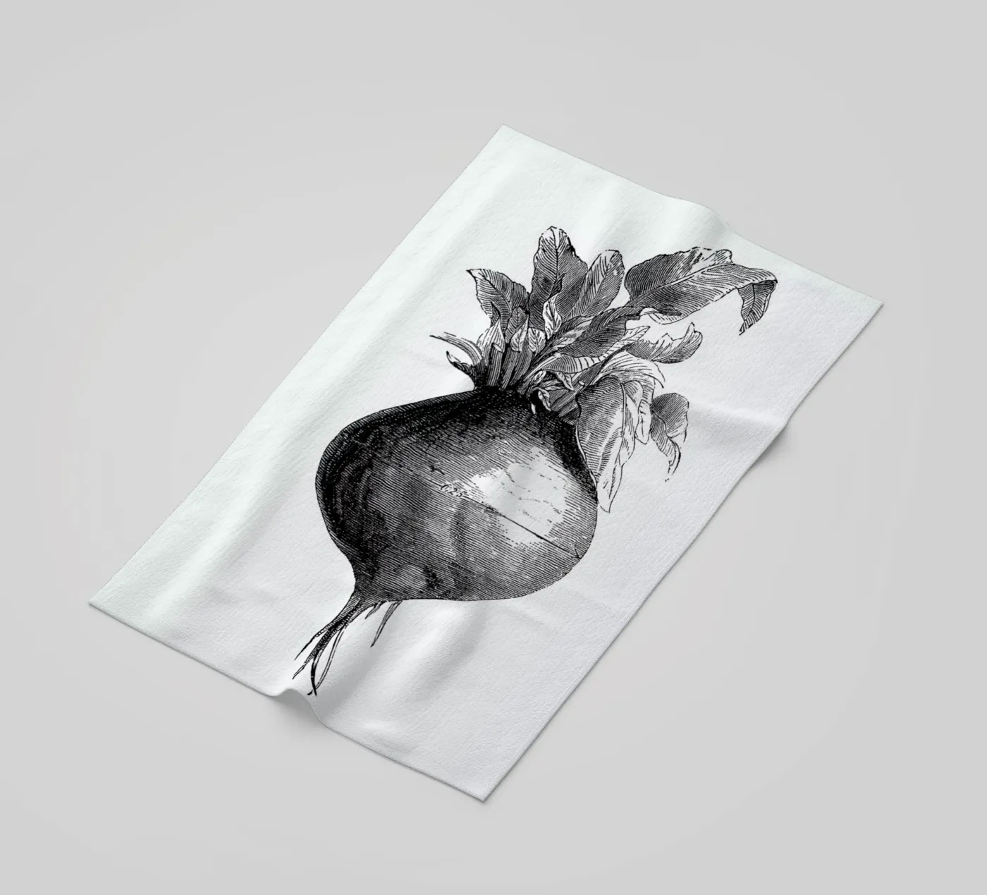 Beetroot II telo mare da Flora & Fauna