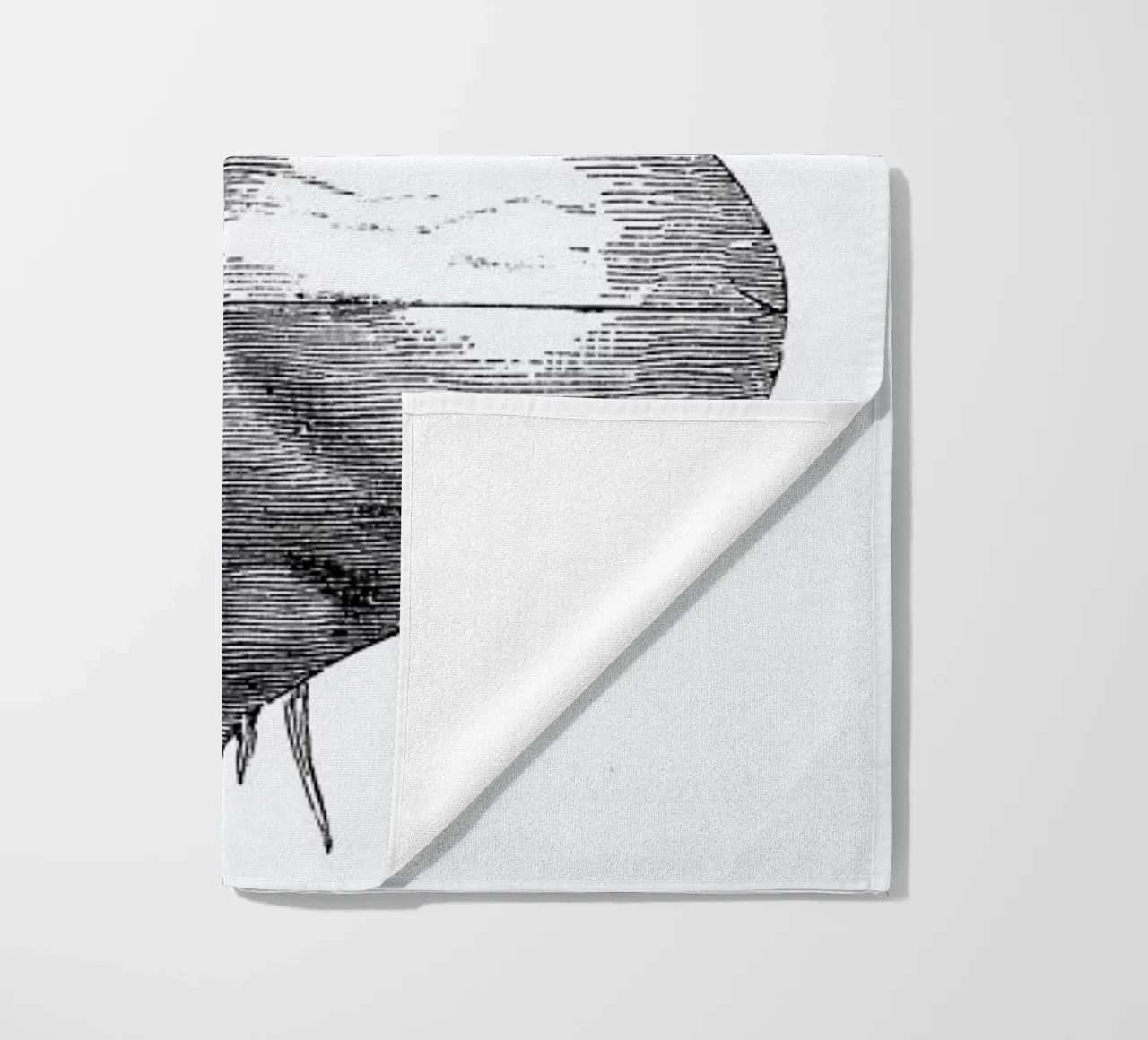 Beetroot II telo mare da Flora & Fauna