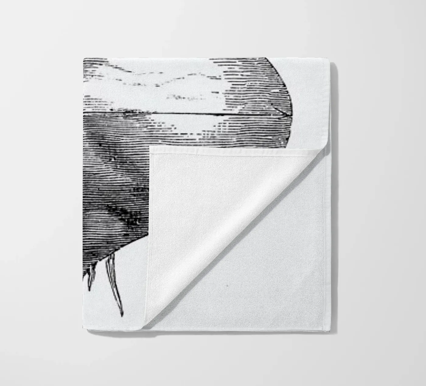 Beetroot II telo mare da Flora & Fauna