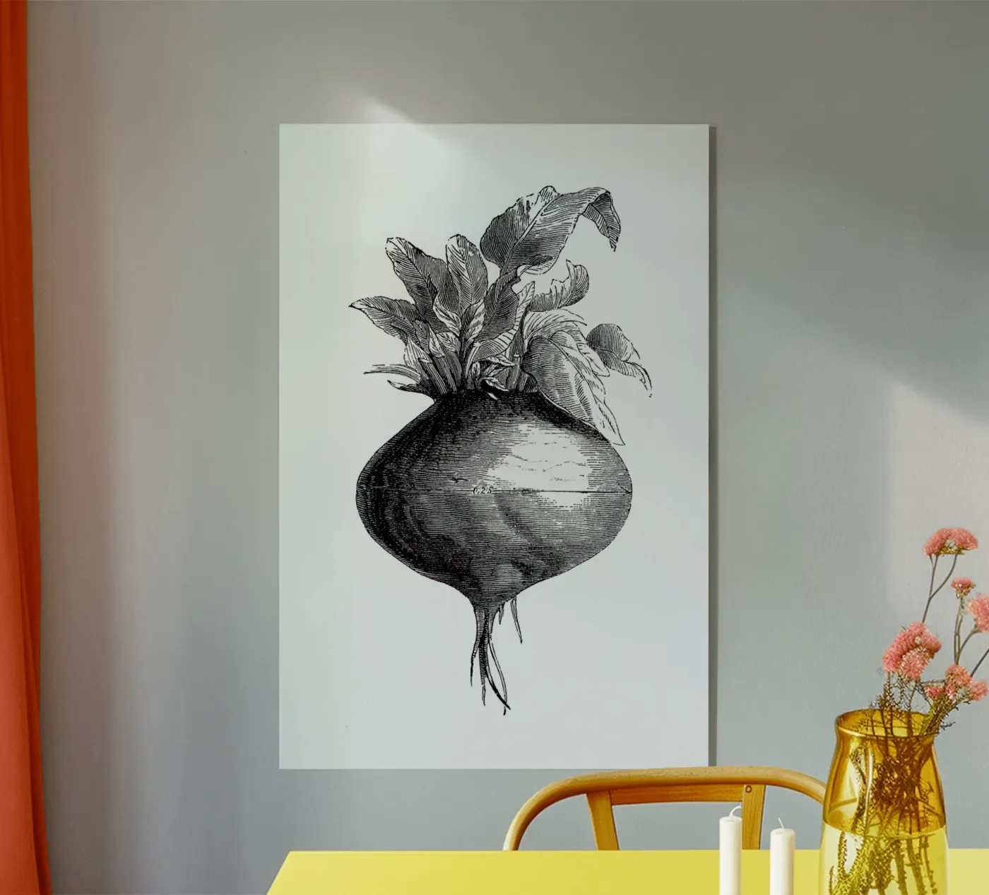 Beetroot II plexiglass da Flora & Fauna