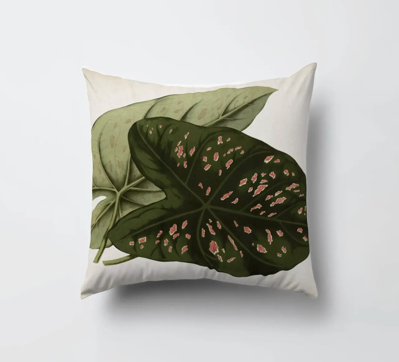 Vintage Houtte 1 Caladium Neumannii cuscino da Vintage Print Collection