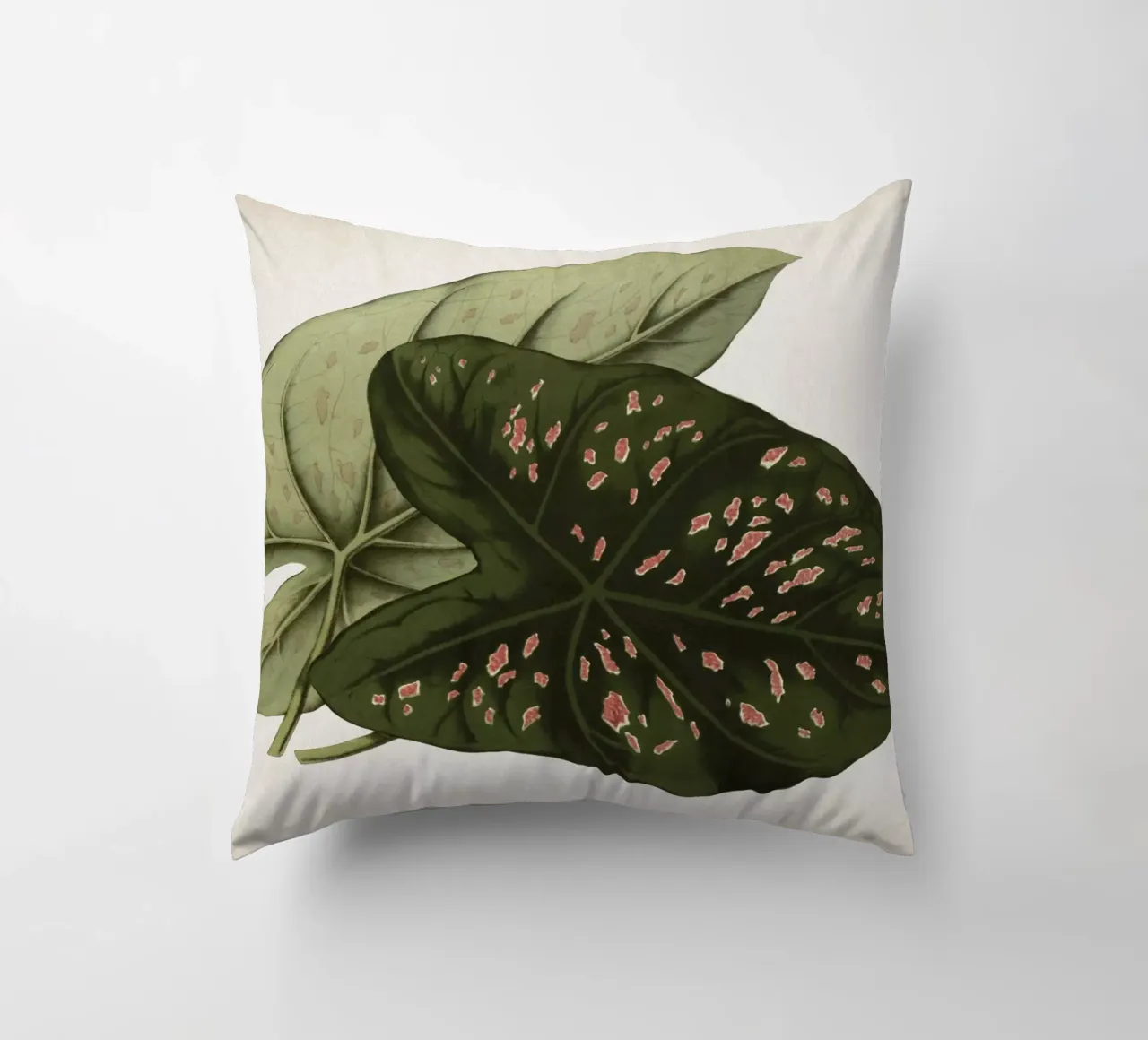 Vintage Houtte 1 Caladium Neumannii cuscino da Vintage Print Collection