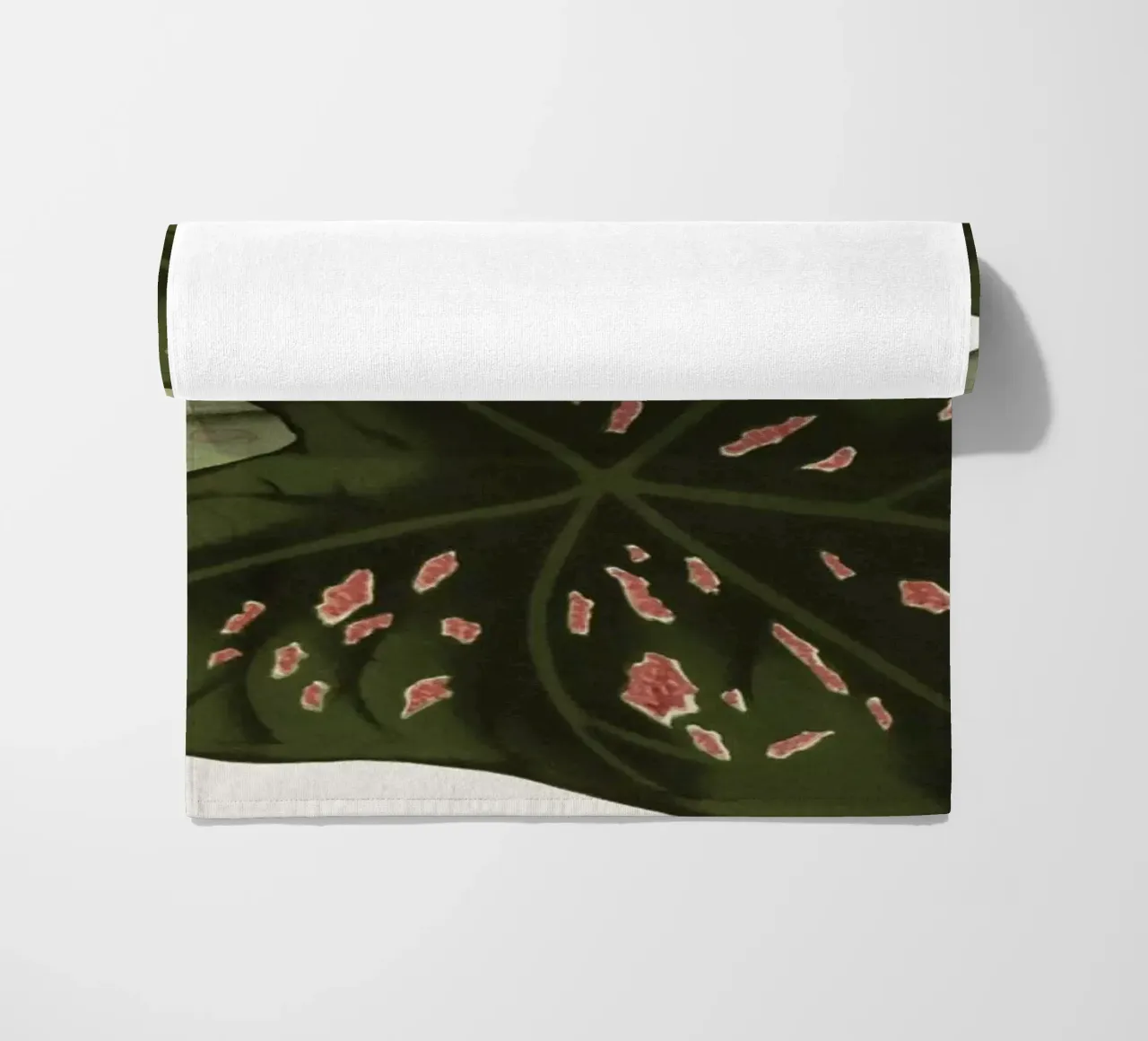 Vintage Houtte 1 Caladium Neumannii telo mare da Vintage Print Collection