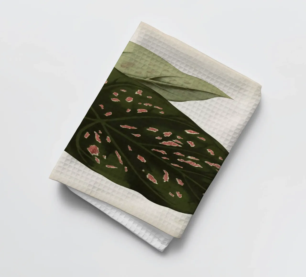 Vintage Houtte 1 Caladium Neumannii canovaccio da cucina da Vintage Print Collection
