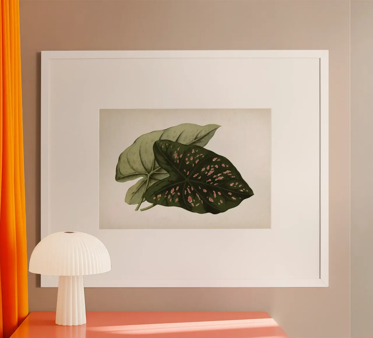 Vintage Houtte 1 Caladium Neumannii poster con telaio in plastica da Vintage Print Collection
