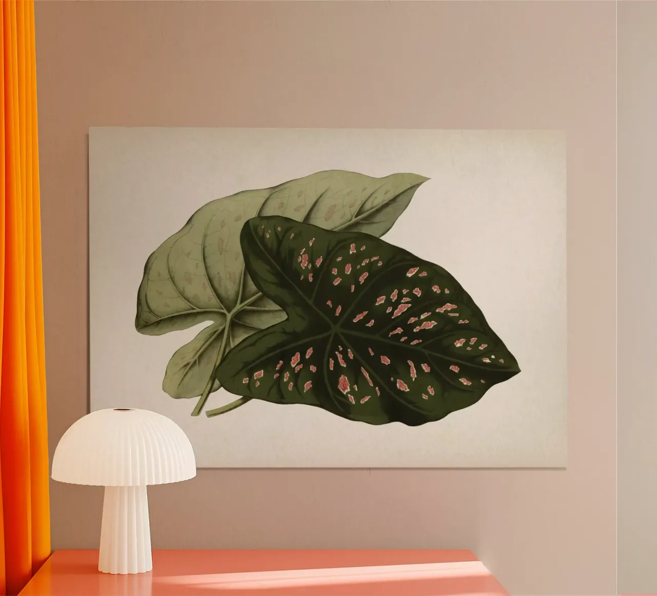 Vintage Houtte 1 Caladium Neumannii poster con telaio in plastica da Vintage Print Collection
