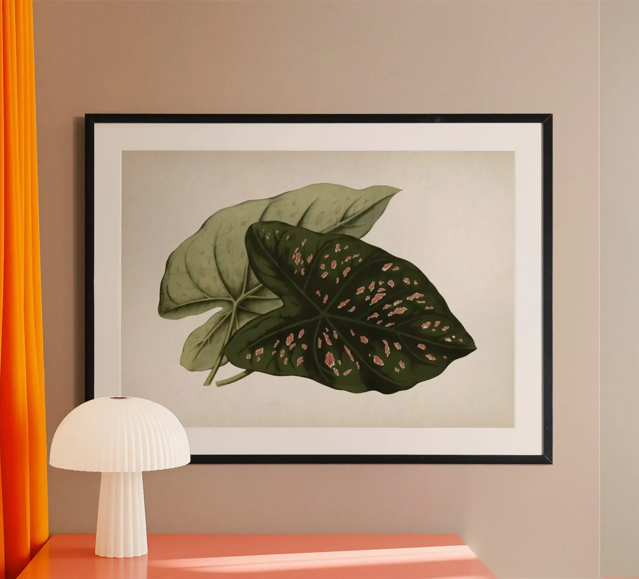 Vintage Houtte 1 Caladium Neumannii poster con telaio in plastica da Vintage Print Collection