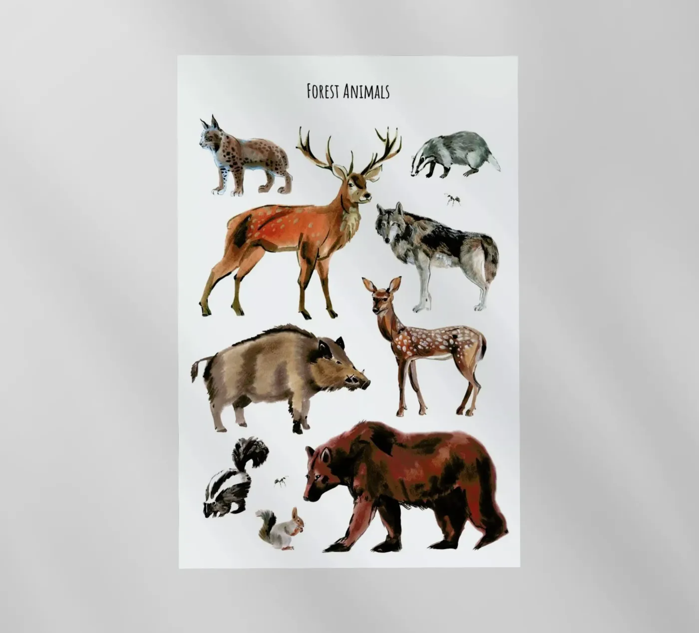 Forest Animals pellicola backlit da Little Flourishes