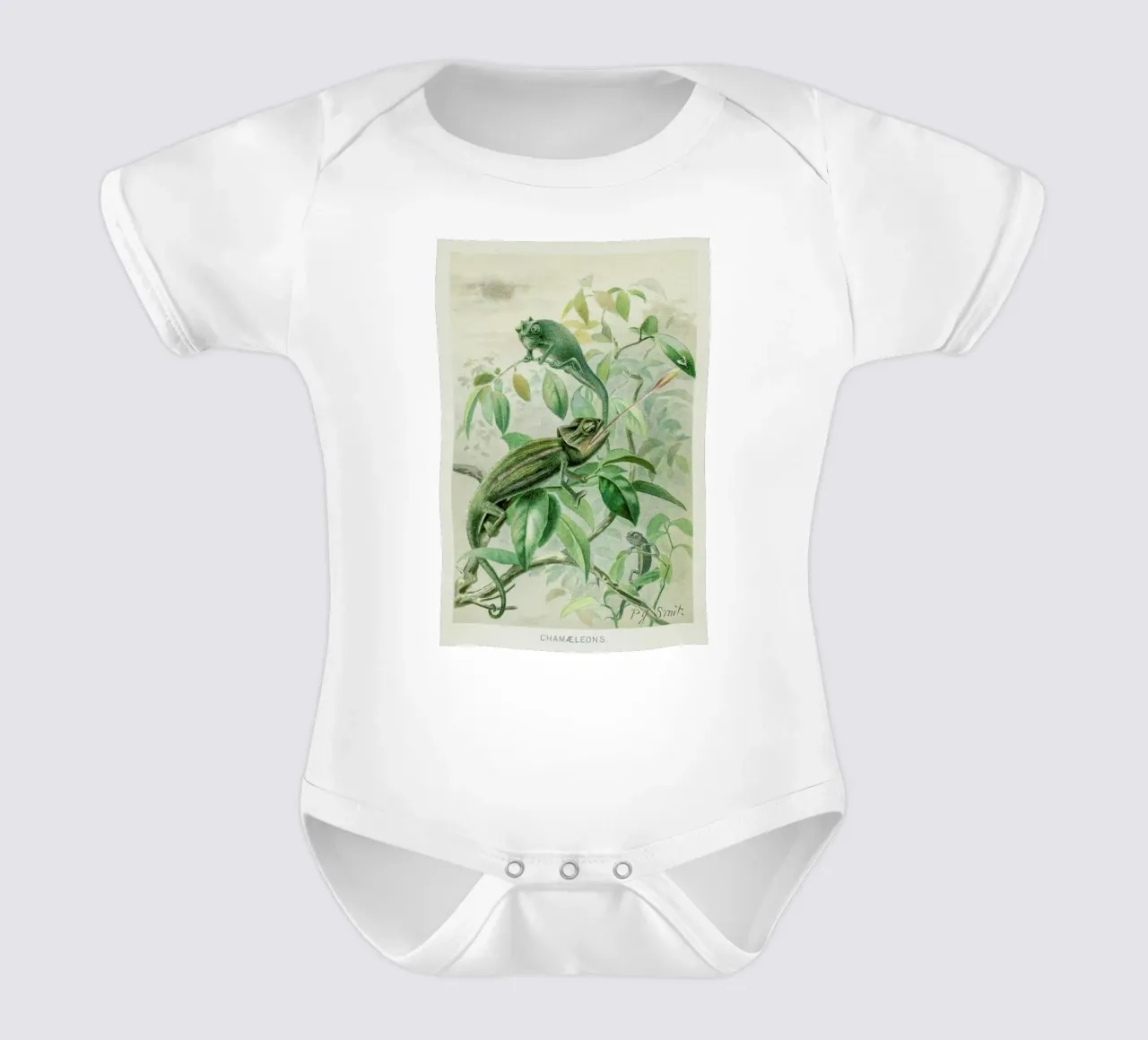 Chameleons body neonato maniche corte da Flora & Fauna