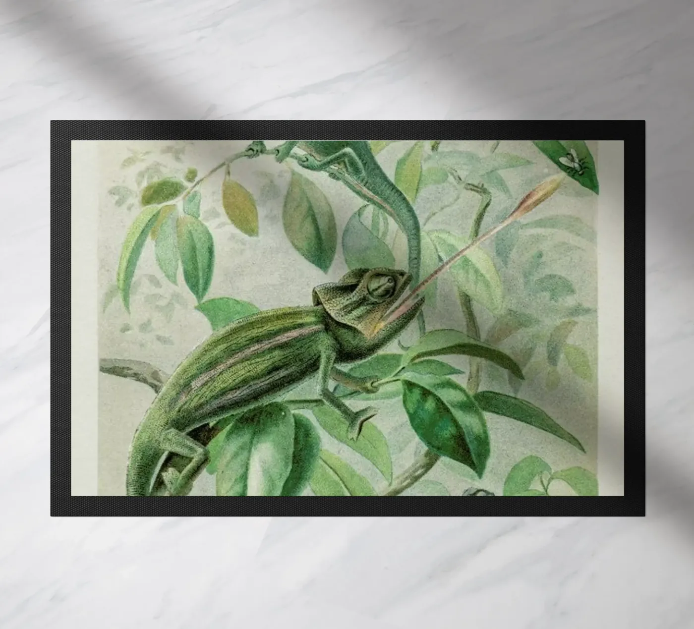 Chameleons zerbino da Flora & Fauna