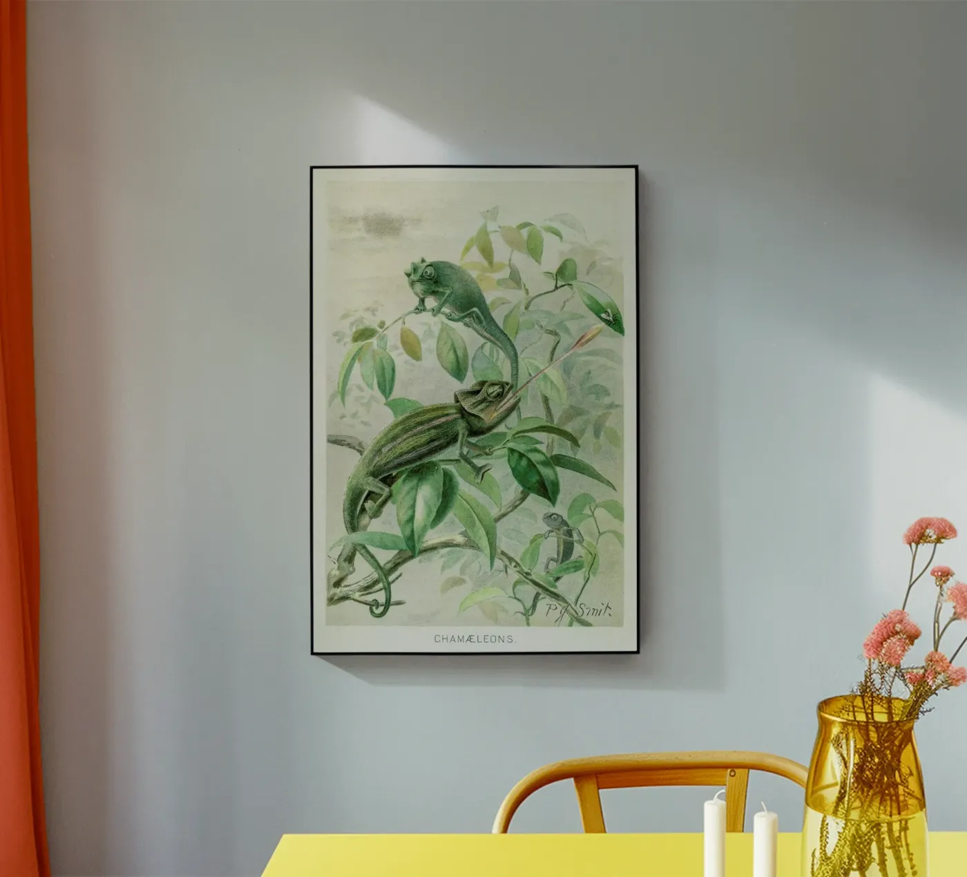 Chameleons plexiglas de Flora & Fauna