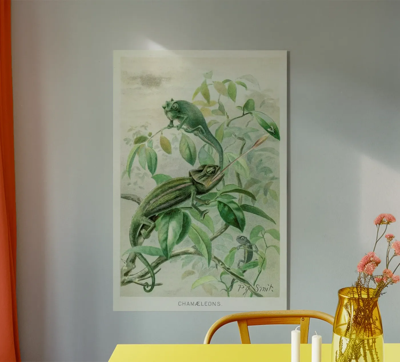 Chameleons plexiglas de Flora & Fauna