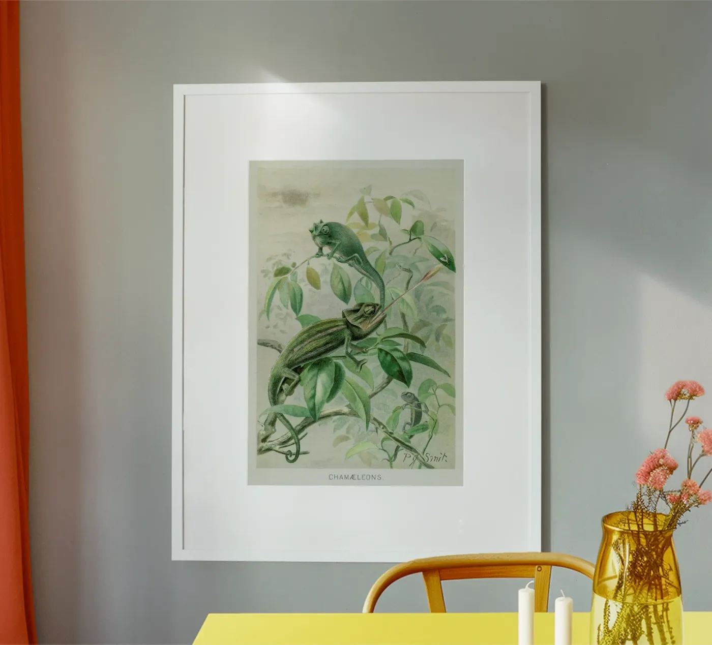 Chameleons poster van Flora & Fauna